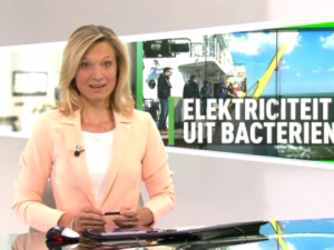 News item on Belgian National television