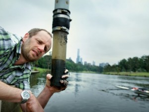 Cable bacteria down under