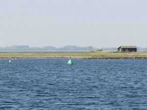 Electrical microbes protect coastal areas from toxic nightmare