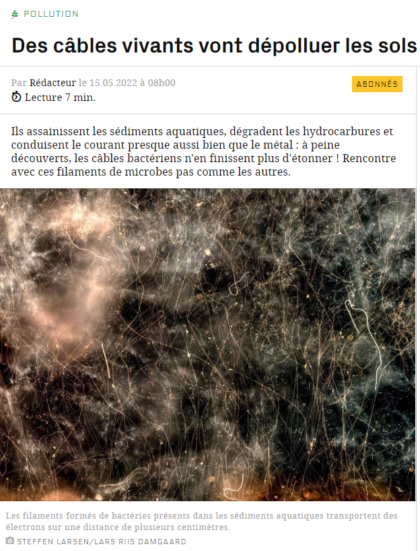 Cable bacteria in French popular science magazine